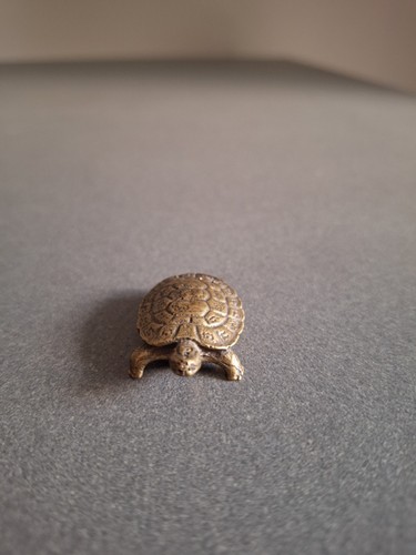 Miniature tortue laiton - en,