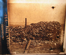 OSSEMENTS PRES DE VERDUN