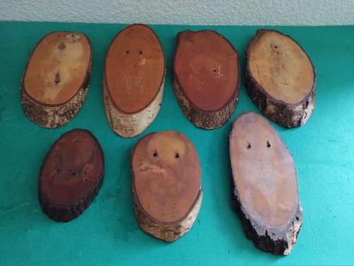 Ecussons bois pour trophee - bois,