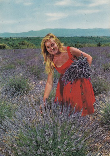 Carte postale postcard - , 10x15cm
