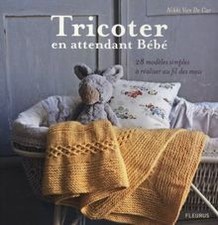 Tricoter en attendant Bébé 