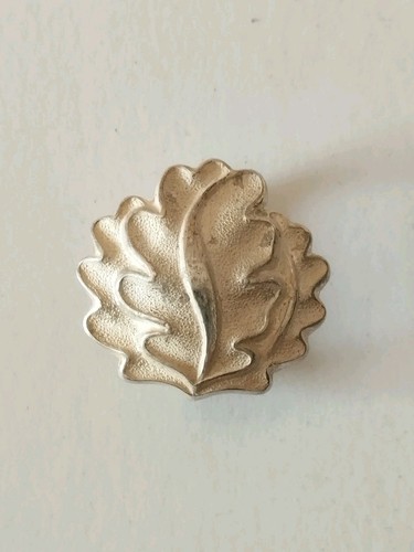 Feuilles chêne argent - de,