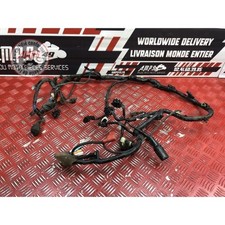 Faisceau électrique