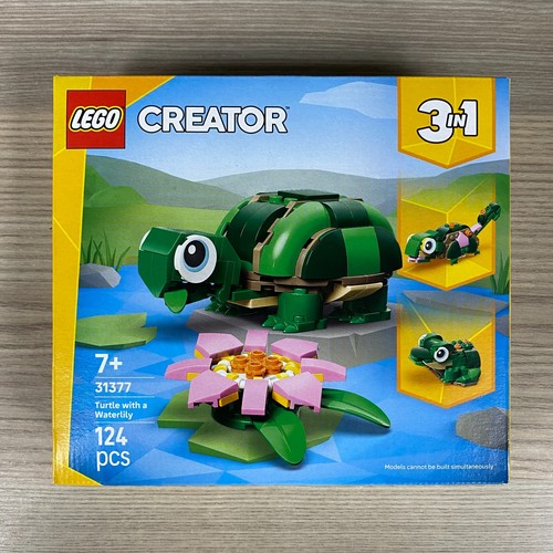 Tortue authentique avec une - tortue,