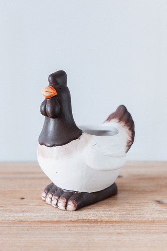 Poule décorative résine - décorative,