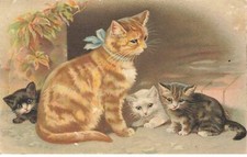 CHATS #MK41565 UNE CHATTE ROUSSE ROUX ET SES CHATONS