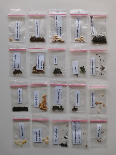 Collection variétés de - collection, 20