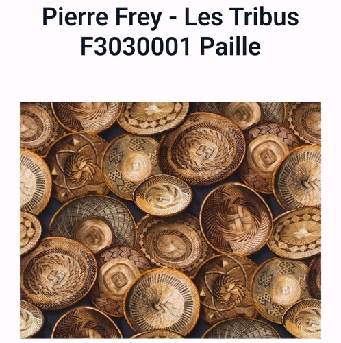 Pierre frey les tribus - pierre,