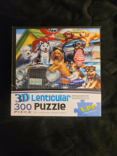 Lenticular puzzle station - lenticular,