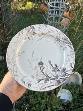 Compotier bas - Polychrome -