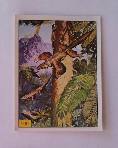 Panini animaux - **,