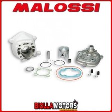 318430 CYLINDRE KIT MALOSSI