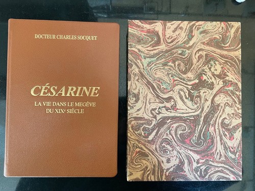 Césarine vie dans le - la,