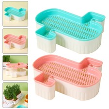  2 Pcs Indoor Cats Growing Pet