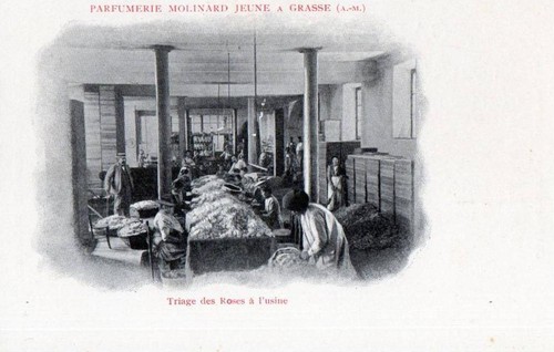 Cpa parfumerie molinard - cpa,