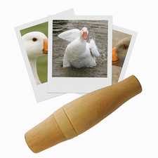 Appeau - Oiseau - Oie - Chant