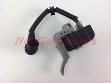 Bobine Allumage Echo pour