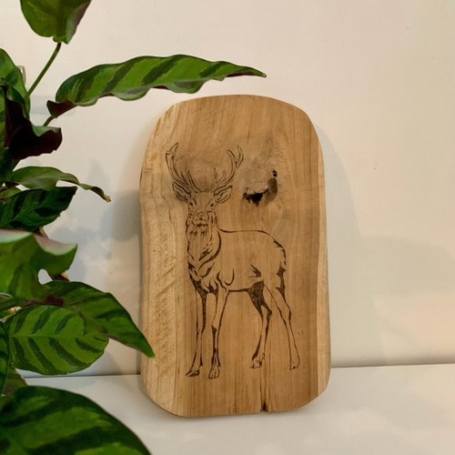 Planche rustique bois de - rustique,
