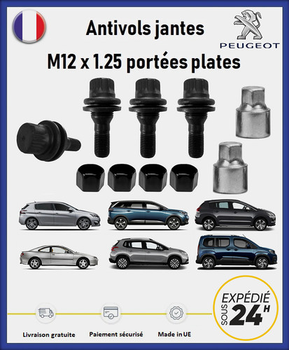 Ecrous antivol roues noir - ecrous,