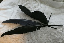 LOT DE 3 ANCIENNES PLUME