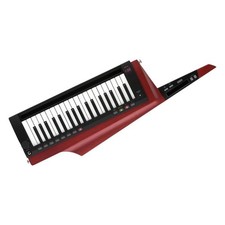 KORG KEYTAR RK-100S 2 clavier