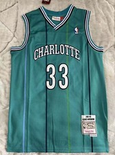 Adult Charlotte Hornets 33