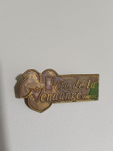 Pin rare fête - pin's,