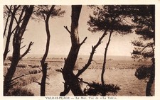 34 VALRAS PLAGE LA YOLE