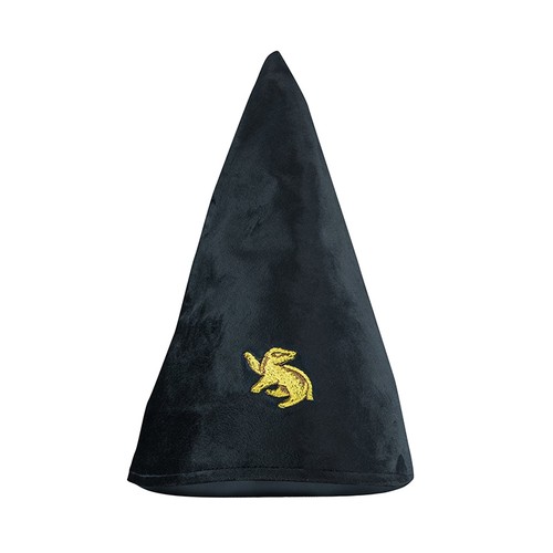 Chapeau étudiant harry potter - étudiant,