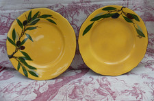 Saint Jean du Desert Berty 2