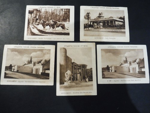 Images cartes rare - rare, vache