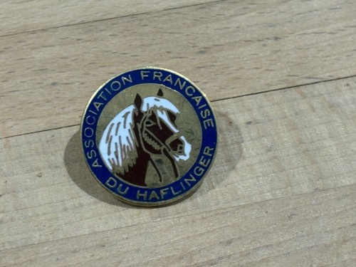 Pins pin cheval horse - a,