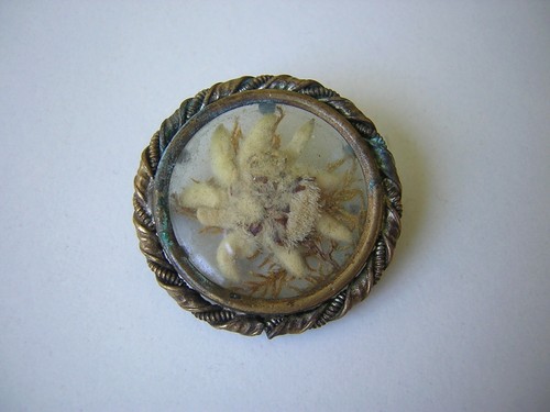 Broche edelweiss séchée 9 - broche,