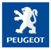 Fusee arriere gauche PEUGEOT