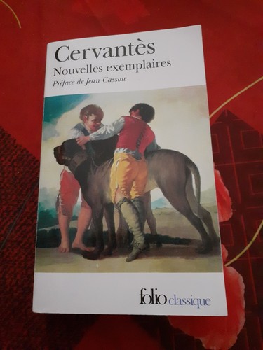Livre poche nouvelles - livre,