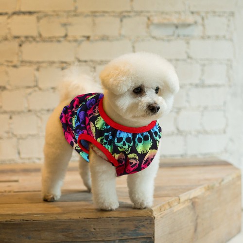Pull pour chien petite - petite, taille