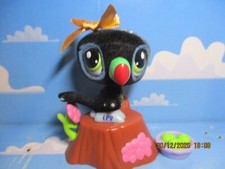 PETSHOP TOUCAN VELOURS N°1014