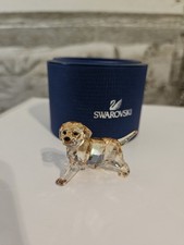 Chiot Golden Retriever