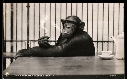 Carte postale berlin - carte, berlin,