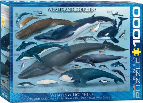 Baleines dauphins 1000pc - baleines, et