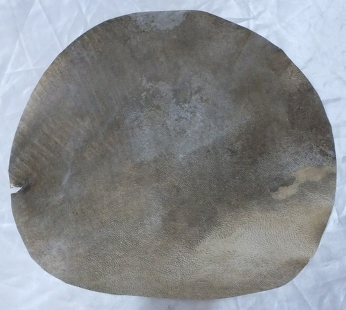 Goat animal skin for - goat,