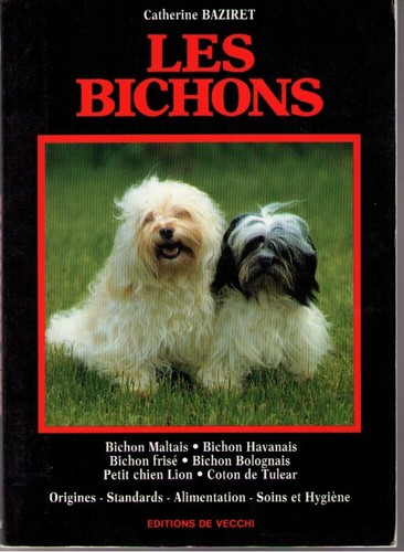 Les bichons bichon maltais - bichon,