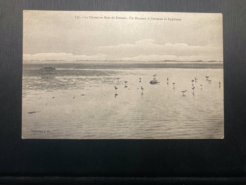 Cpa chasse en - chasse,