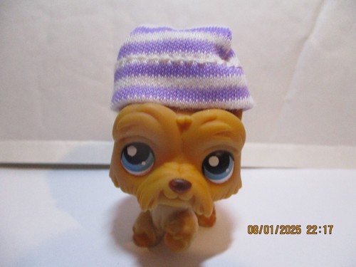 Petshop chien westie - chien,