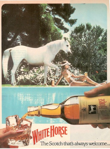 Publicité white horse scotch - white,