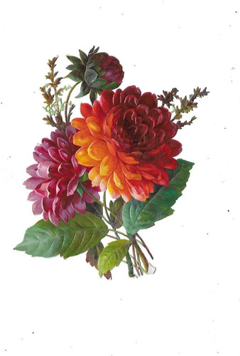 Chromo ancien découpis 1880 - ancien, ~1880