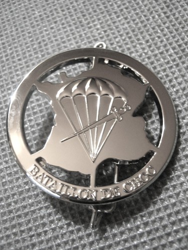 Rare insigne beret - insigne, des