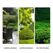 Perche D'Extension De