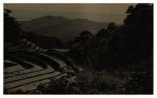 Taiwan, Gradins d'eau à Tsao