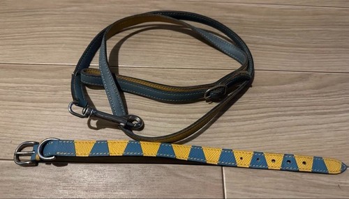 Ensemble collier pour chien